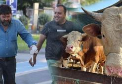 Acemi kasaplar kurban yerine kendini kesti