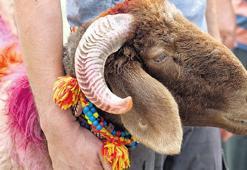 Deri sektörüne 15 milyar TL’lik katkı