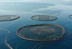 Kültür balıkçılığında üretim rekoru kırıldı