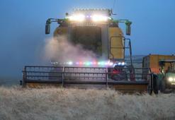 Çiftçilerin bereketli hasadı bayramda da devam ediyor