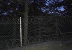 Bayram ziyareti için mezarlığa gelenler şoke oldu! Ağaca asılı halde bulundu