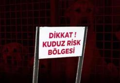 Niğde'de kuduz karantinası! Valilikten açıklama