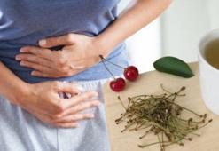 Kiraz saplarını sakın çöpe atmayın! Doğalından kas gevşetici, adet söktürüyor