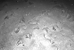 Üç bin yıl sonra bulundu! Tesadüfen ortaya çıktı: Tarihi değiştiren keşif