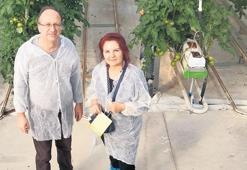 Tarım zehri kullanımı yapay zekâyla azaldı