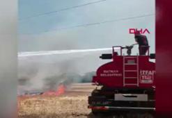 Batman'da anız yakanlara ceza yağdı! Tam 263 bin lira ceza kesildi