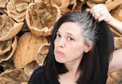 Boya derdine son, çare ceviz kabuğunda! Beyazlayan saçları anında eski haline döndürüyor