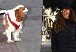 Sibel Karakaşlı'nın Cihangir sevgisi!