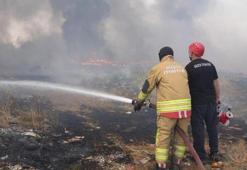 Düzce'de 25 dönümlük alanda korkutan yangın çıktı