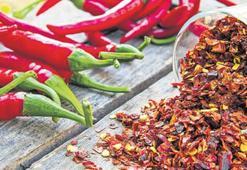 Acı biberdeki kapsaisin riski