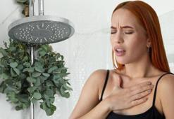 Duşakabine bir dal asın, ferahlık 2 katına çıksın! Tıkalı burnu da, ciğerleri de açıyor