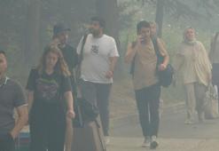 Son dakika... Bursa'da korkutan yangın! Bakan Yumaklı: Yangın kontrol altına alındı
