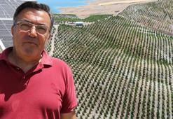 Bir mühendisin inanılmaz projesi! Her şey köyüne 5 bin badem fidanı dikmeyesiyle başladı