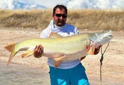 Elazığ'da 39 kiloluk dev Fırat turnası yakalandı