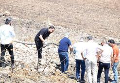Diyarbakır-Mardin sınırındaki yangına ilişkin 7 bilirkişi heyeti inceleme yaptı