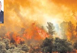 Ormanı temizle, yangınlara dur de!