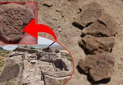 Kırıkkale&#x27;de heyecanlandıran keşif: Bunu bozan ölecek!