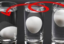 Bayat yumurta nasıl anlaşılır? Su testi ile anında belli oluyor