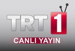 TRT 1 CANLI İZLE KESİNTİSİZ HD | 📺 EURO 2024 yarı final Hollanda-İngiltere maçı TRT 1 canlı yayın izle ekranı