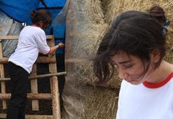 Çoban Zeynep ilçenin gururu oldu: Para kazanmanın zor olduğunu görmek heveslendirdi