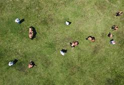 663. Domaniç Yağlı Güreşleri'nde başpehlivan Hüseyin Gümüşalan!