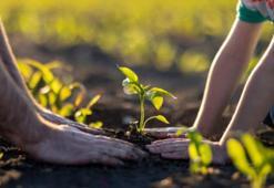 Meyve çekirdekleri sağlık için servet gibi! Bir kere deneyen vazgeçemiyor