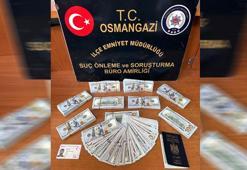 İzmir'de Kanada vatandaşını 100 bin dolar dolandırdı! Kaçarken kıskıvrak yakalandı