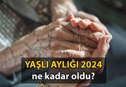 aile.gov.tr 👵🏻👴🏻 Yaşlı aylığı ne kadar oldu? 2024 Yaşlılık maaşı zamlı hali