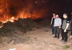 Uşak'ta iki noktada orman yangını! 11 ev tahliye edildi