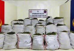 Zehir tacirlerine geçit yok! 1 milyon 781 bin kök kenevir ve 511 kilo esrar yakalandı