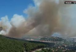 Aydos Ormanı'nda yangın çıktı! İstanbul Valiliği'nden son dakika açıklaması