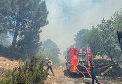 Aydos Ormanı'nda yangın çıktı
