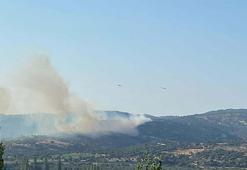 Çanakkale'deki yangın 14 saatte kontrol altına alındı
