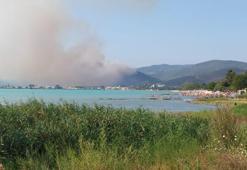 Bursa'da orman yangını kontrol altına alındı