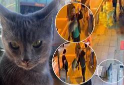 Sokaktaktan geçenlerin korkulu rüyası: Çağlayan'ın 'Gri Aslanı'