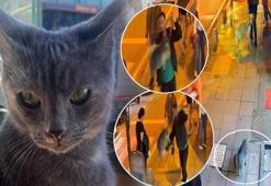 Sokaktaktan geçenlerin korkulu rüyası: Çağlayan'ın 'Gri Aslanı'