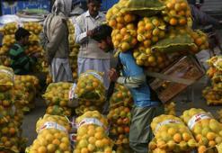 BM Dünya Gıda Güvenliği raporu: 2023'te 733 milyon kişi açlıkla mücadele etti