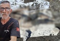 Vahşeti ortaya çıkaran sinyal! Adana’da sahilde bulunan çürümüş cesedin sırrı!