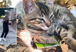 İstanbul'da şoke eden olay! Yolda gördüğü yavru kediyi balkona fırlattı