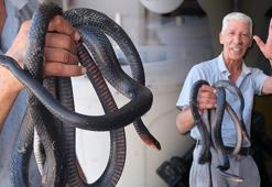 'Yılancı Osman' şov yaparken ısırıldı: Koynumda bile besliyorum, yılanlarla yatıp kalkıyorum