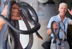 'Yılancı Osman'ı yılan ısırdı: Koynumda bile besliyorum, yılanlarla yatıp kalkıyorum