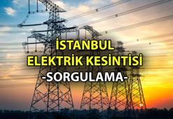 BEDAŞ KESİNTİ SORGULAMA EKRANI 💡 İstanbul elektrik kesintisi ne zaman gelir? İstanbul (Avrupa - Anadolu Yakası) mahalleye göre elektrik kesintisi sorgulama ekranı 1-2 Ağustos 2024