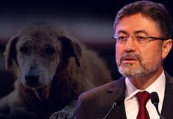 Bakan Yumaklı: Bu bir 'katliam' değil, 'sahiplendirme' yasasıdır