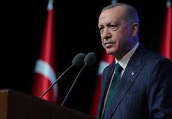 Cumhurbaşkanı Erdoğan: Başıboş köpek meselesini inşallah kısa sürede hal yoluna koyacağız