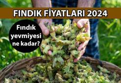 FINDIK ALIM FİYATI NE KADAR? 2024 Fındık fiyatları kaç TL?