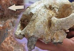 9 milyon yıl öncesine ait! 'Dünyadaki ilk örneği olacak'