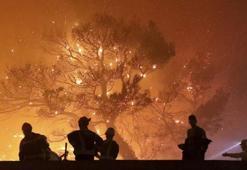 Avrupa'da yüksek sıcaklıklarla birlikte orman yangınları artıyor