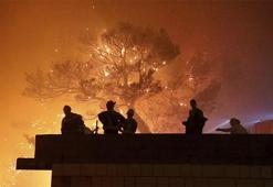 Avrupa'da yüksek sıcaklıklarla birlikte orman yangınları artıyor