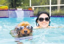 Denize giren köpeğinizi mutlaka yıkamalısınız