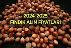 TMO fındık fiyatları 2024: Levant ve Giresun fındık alım fiyatı açıklandı mı, ne kadar oldu?